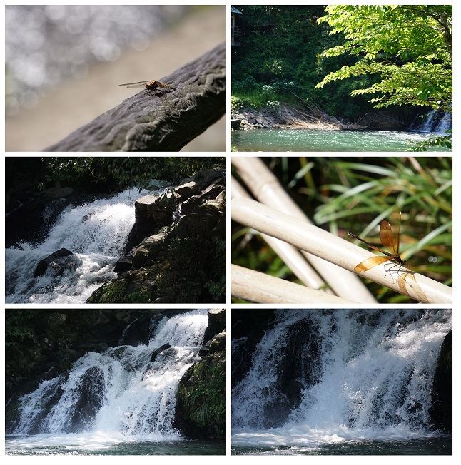 大自然の中のミニ秘境、鹿児島市内にある「轟の滝」