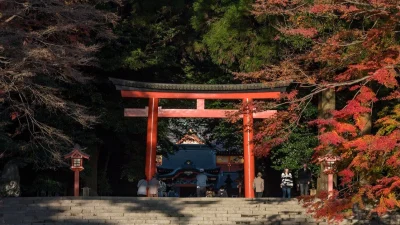 神秘のパワースポット：霧島神宮